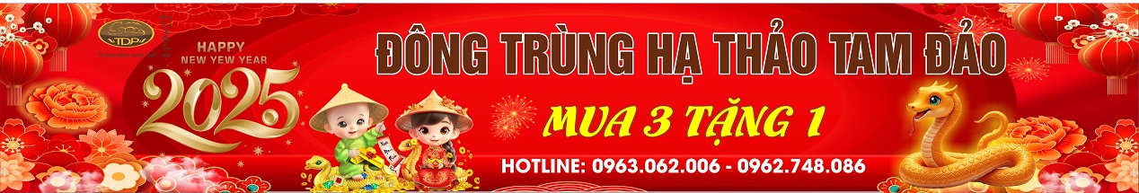 Đông trùng hạ thảo tam đảo